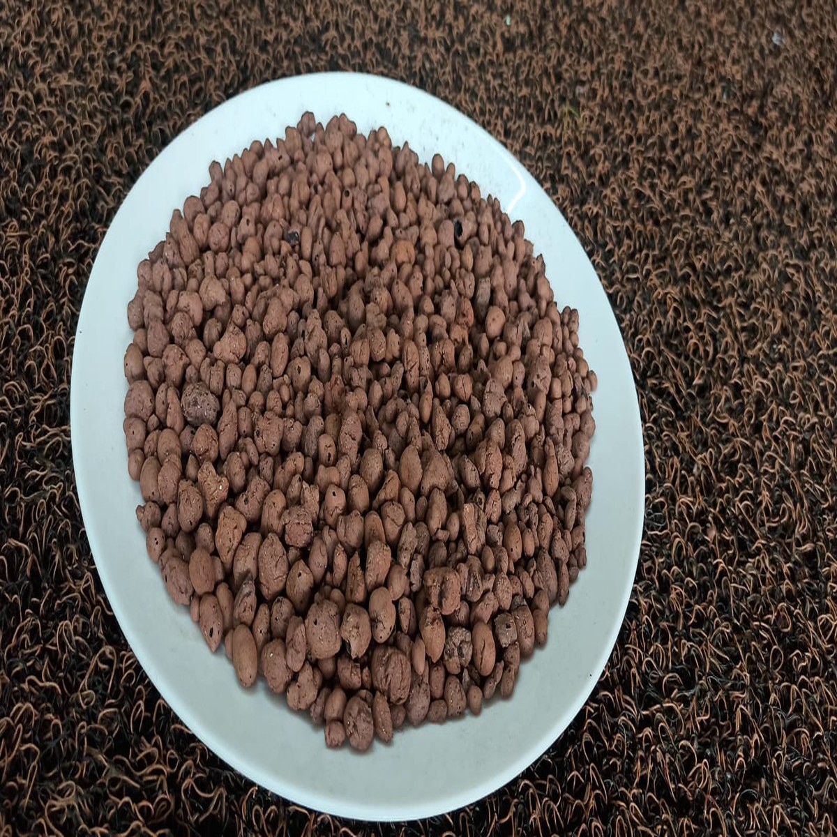 LECA Expanded Clay Growing Medium 1kg - My Garden Store