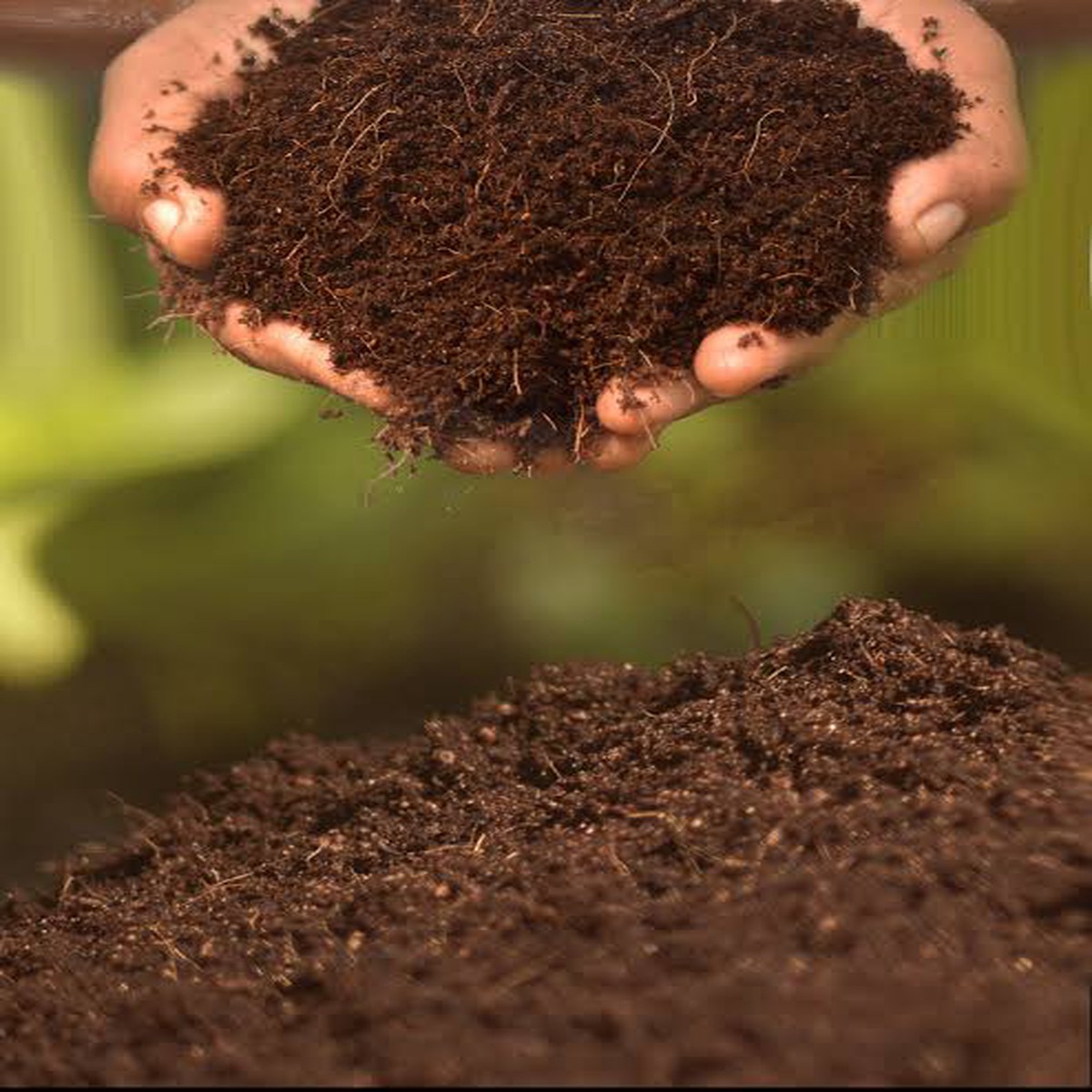 Treated Cocopeat Compost Potting Mix 2KG - My Garden Store