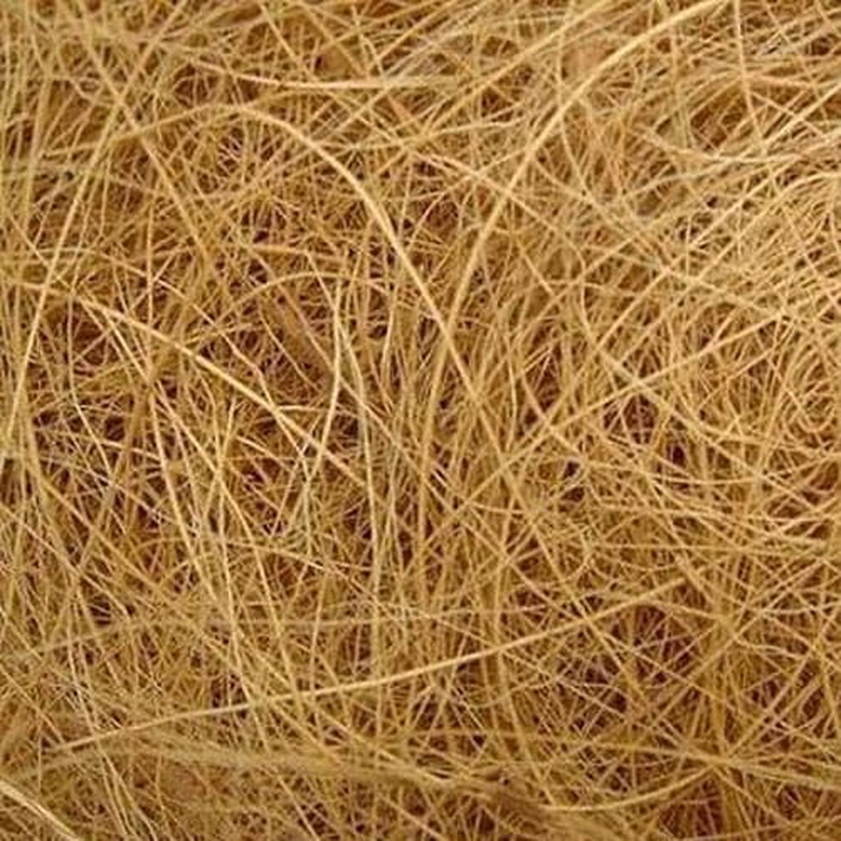 Premium Coco Coir Potting Mix 500g My Garden Store