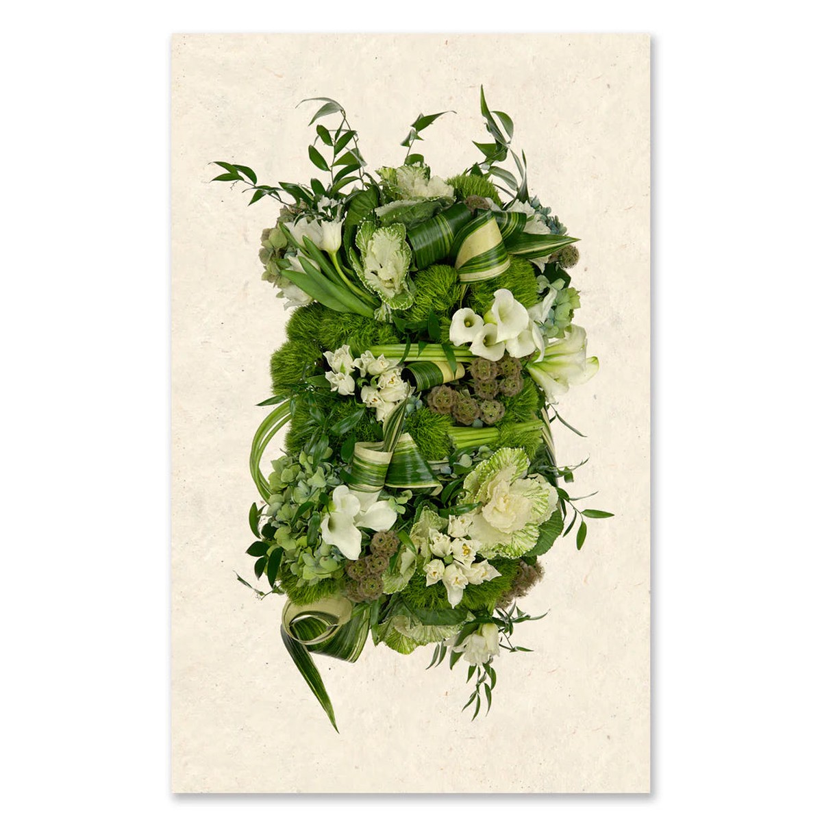 Green and White Collective Framed Print – Barloga Studios