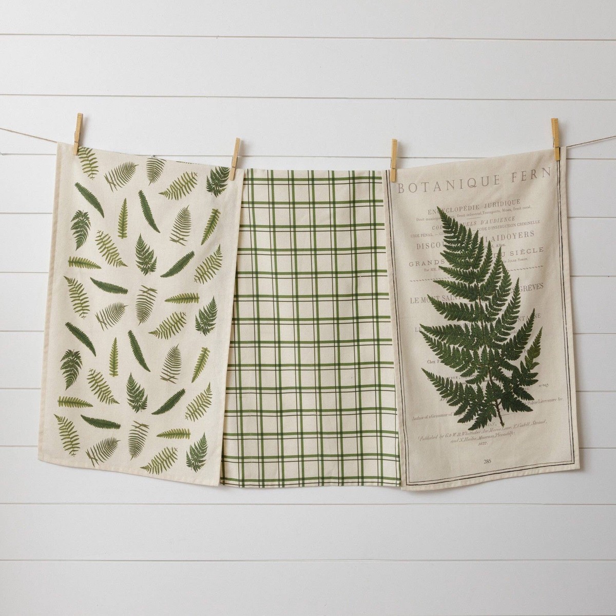 Tea Towels - Ferns