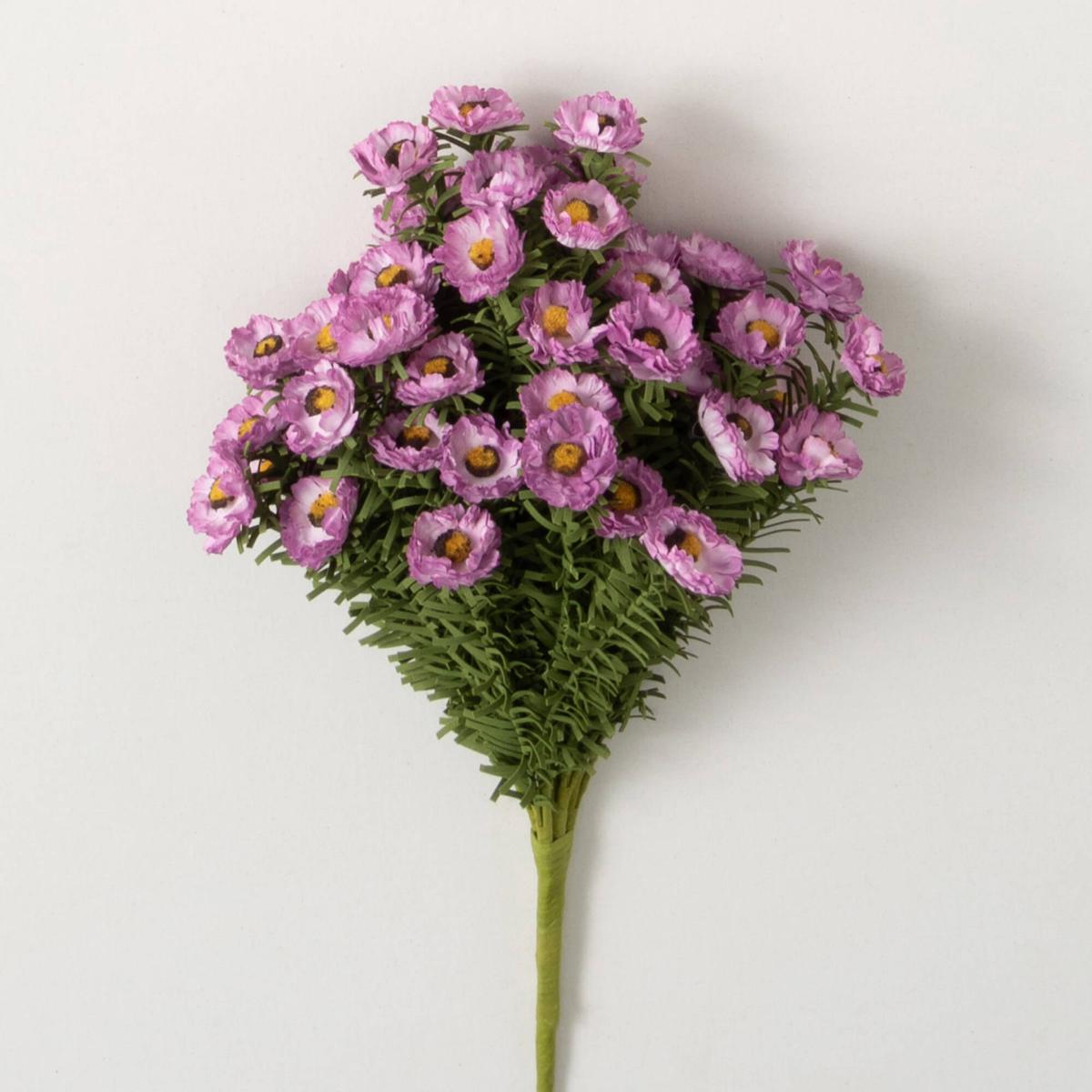 Purple Daisy Bush