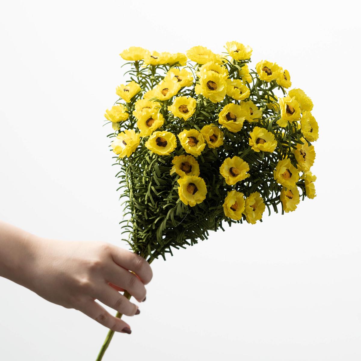 Yellow Daisy Bush