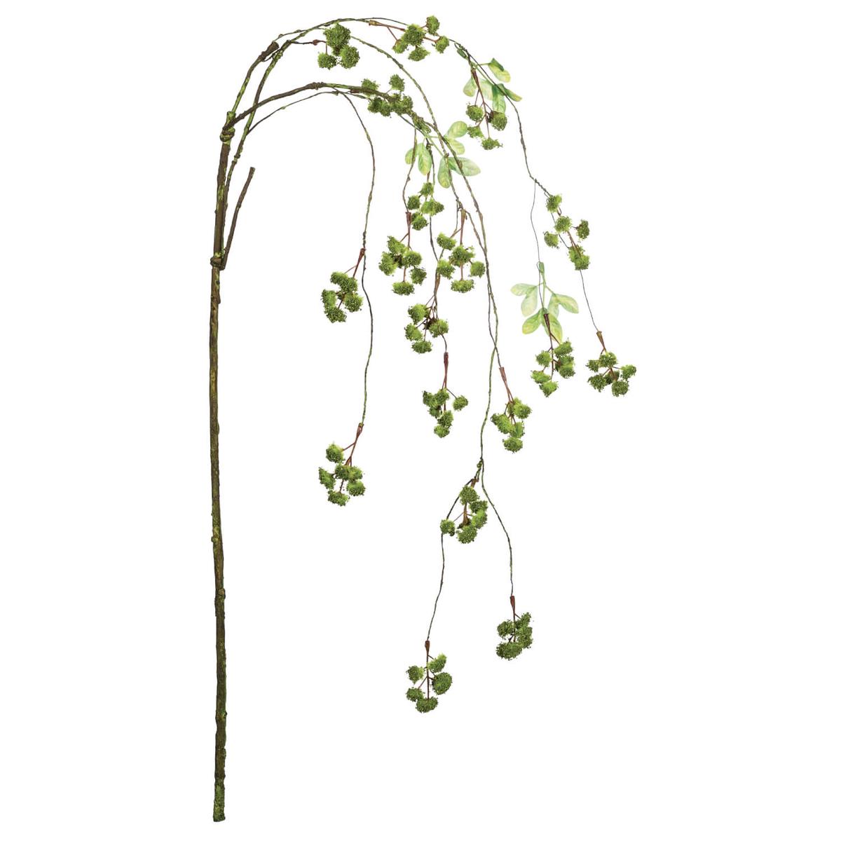 48" Hanging Irish Moss Stem