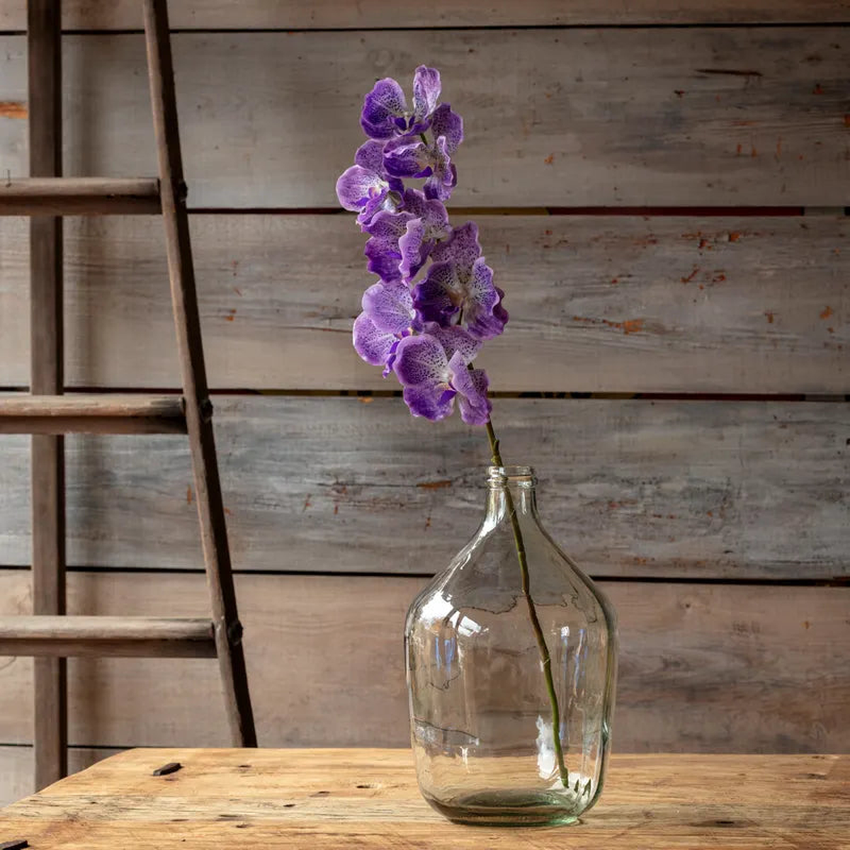 31.5″ Purple Vanda Orchid Stem