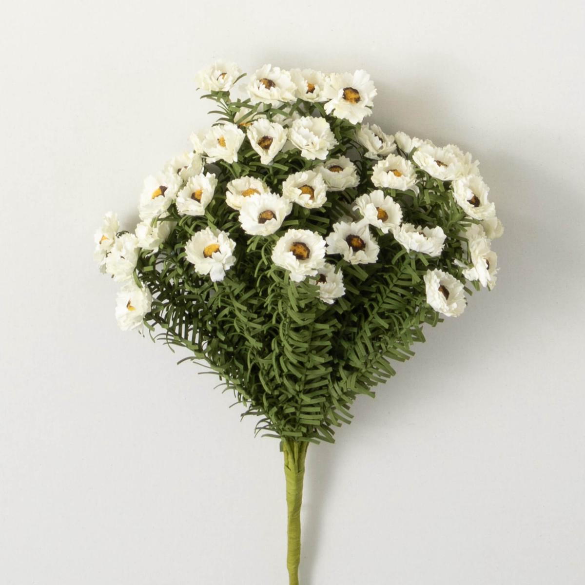 White Daisy Bush