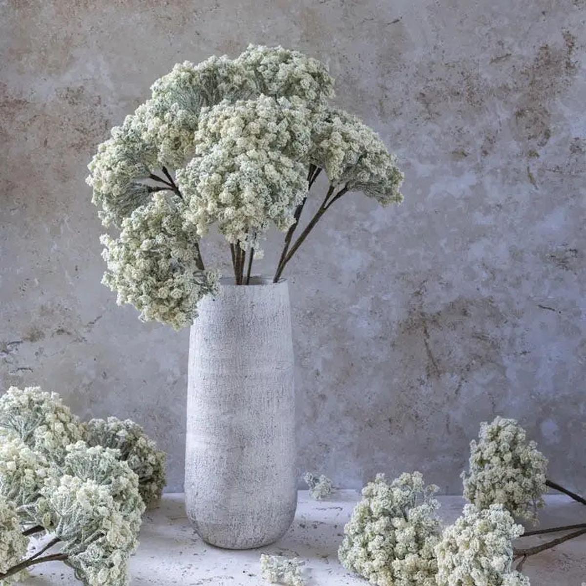 Cream Yarrow Stem