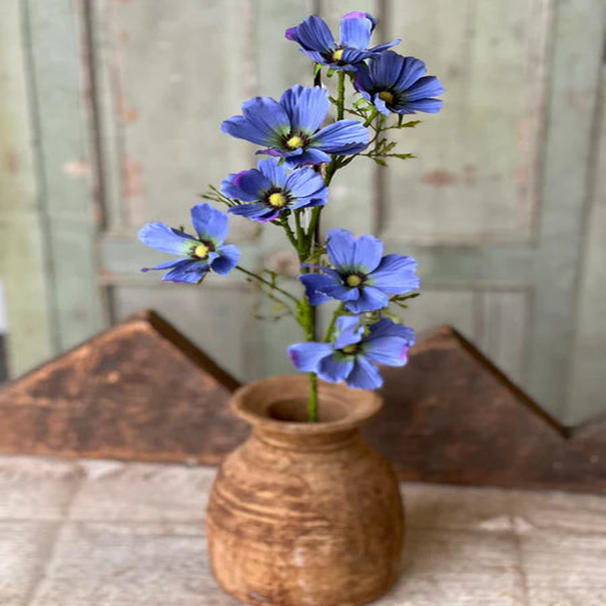 27″ Cockle Cosmos Stem – Periwinkle